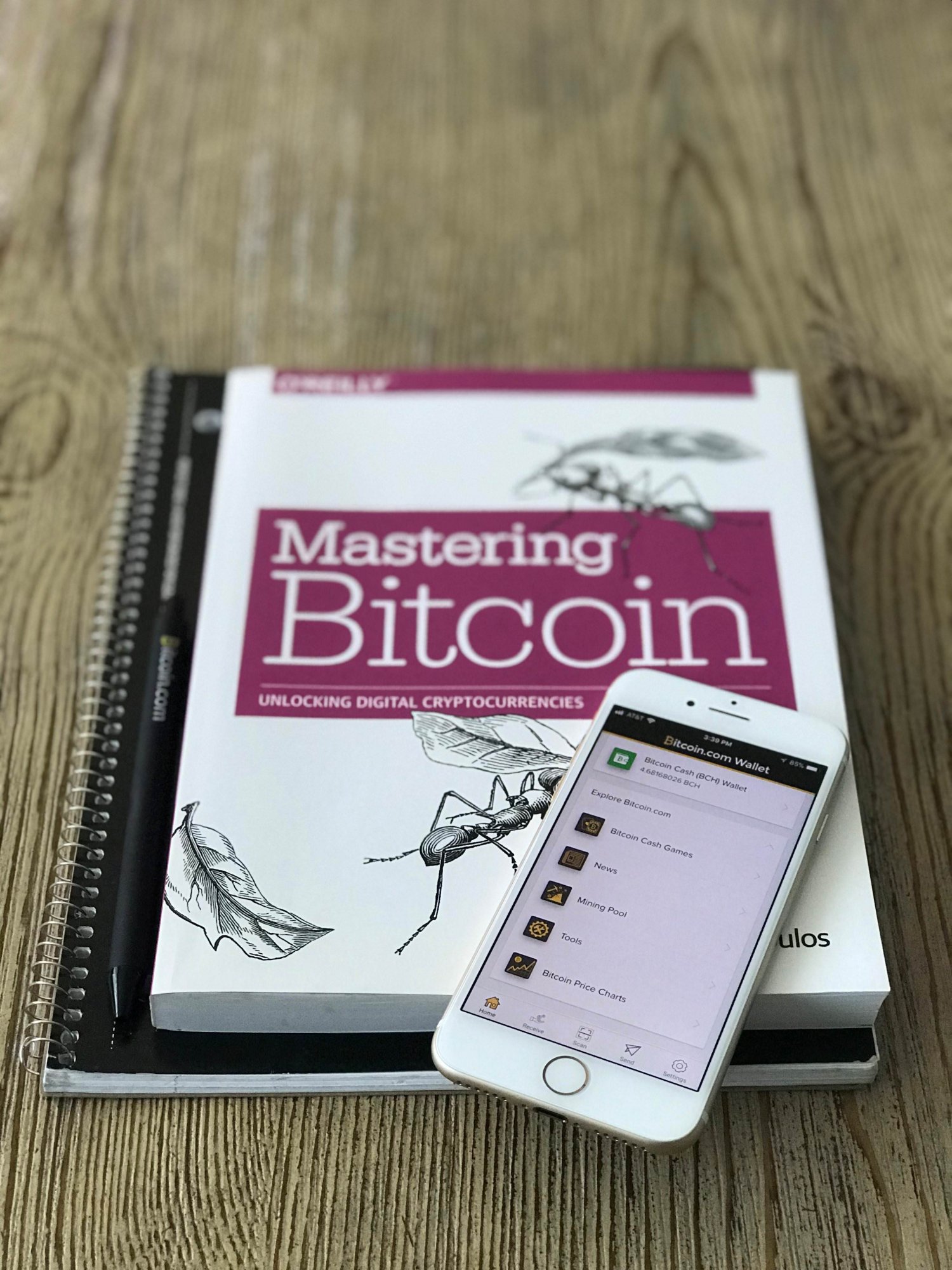 mastering bitcoin